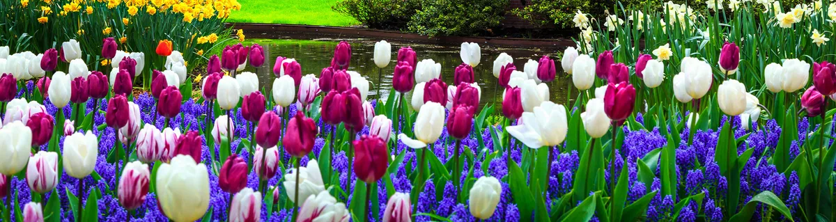 Klaverjassen met een lentegevoel